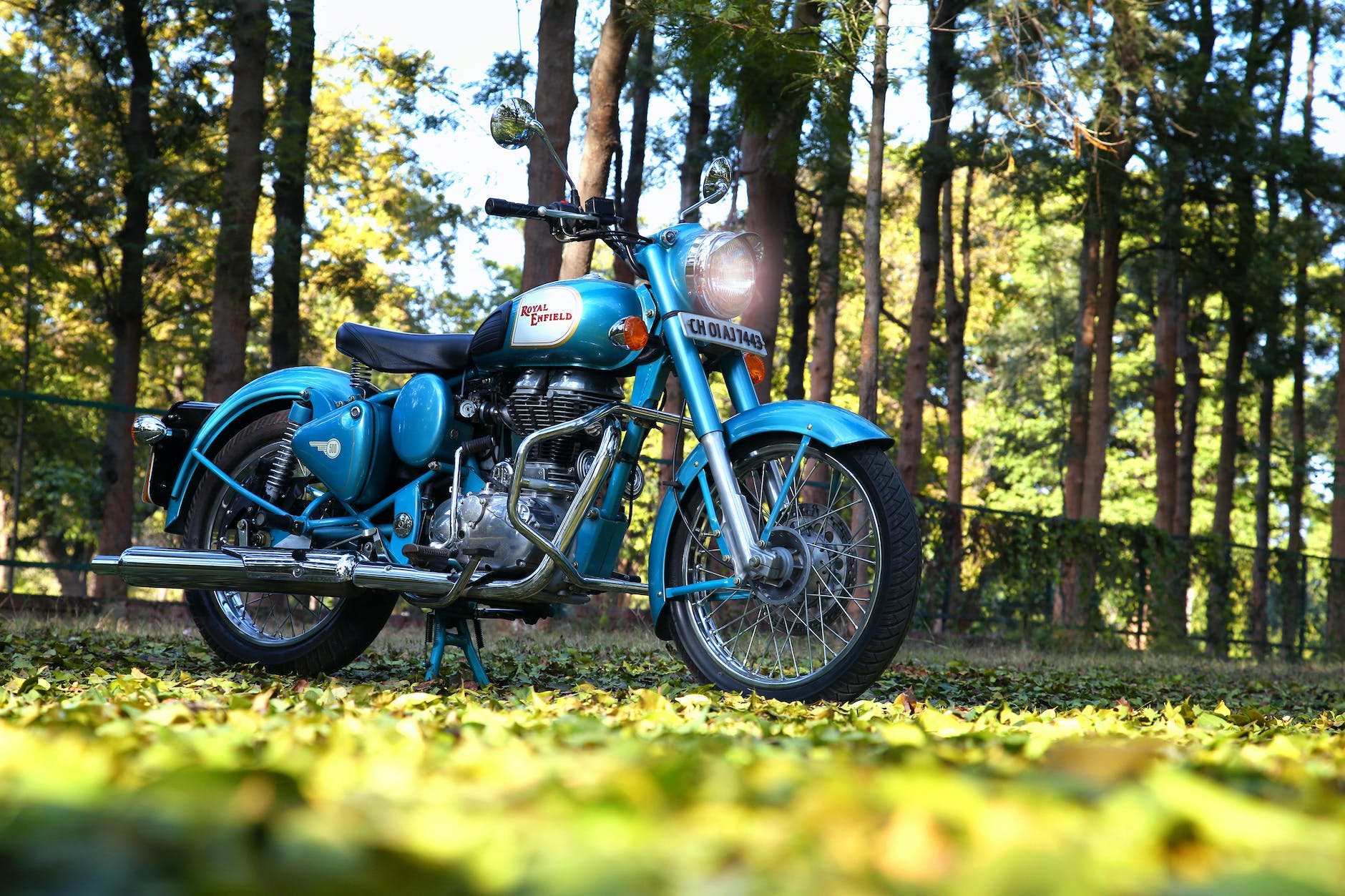 parked classic blue motorcycle on fallen leaves
